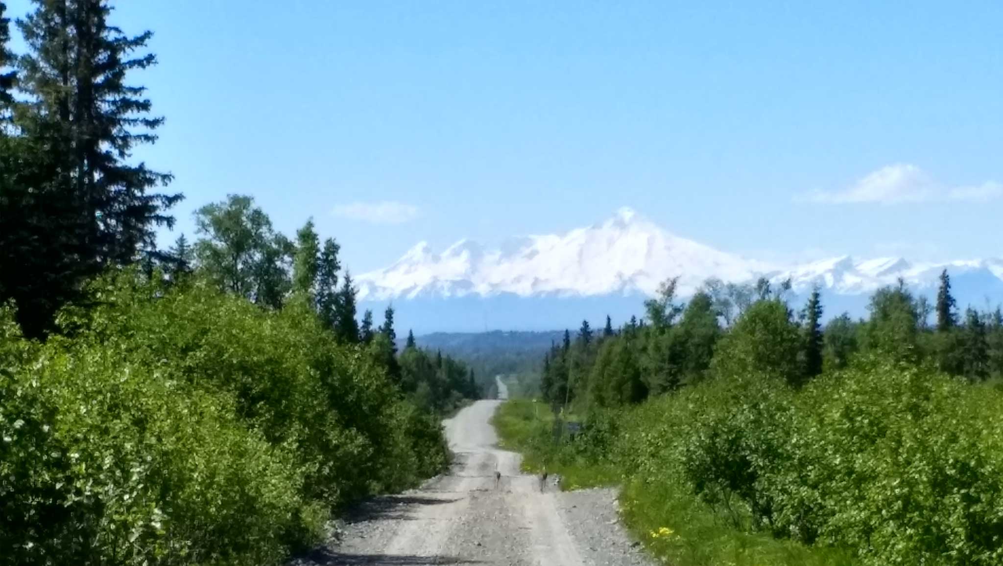 All Seasons Campground - Alaska